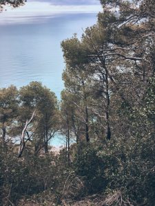 La Groppina nei pressi di Tellaro, vista dall'alto. Pini marittimi e mare sullo sfondo. Location Scout Italia - duzimage