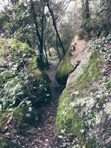 sentiero da Zanego a Tellaro che si snoda tra le rocce ricoperte di muschio - location scout Italia - duzimage