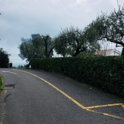 Stada sottostante il cimitero di Tellaro - Location Scouting Italia - duzimage