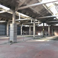 lotto sgombero di un reparto delle Ex Ceramiche Vaccari. Architettura industriale, con colonne, travi e pavimentazione in cemento. Evidenti segni d'abbandono. Soffitti con vetrate e muri in mattoni rossi. Location Scout duzimage https://www.duzimage.com/category/locationscouting/