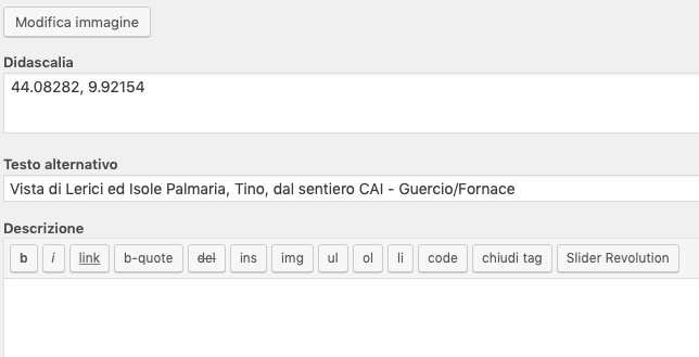 screenshot schermata editing informazioni foto di WordPress per indicizzazione