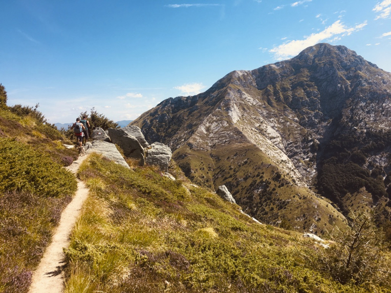 sentiero verso vetta Pizzo d'Uccello con sfondo Pisanino - Alpi Apuane