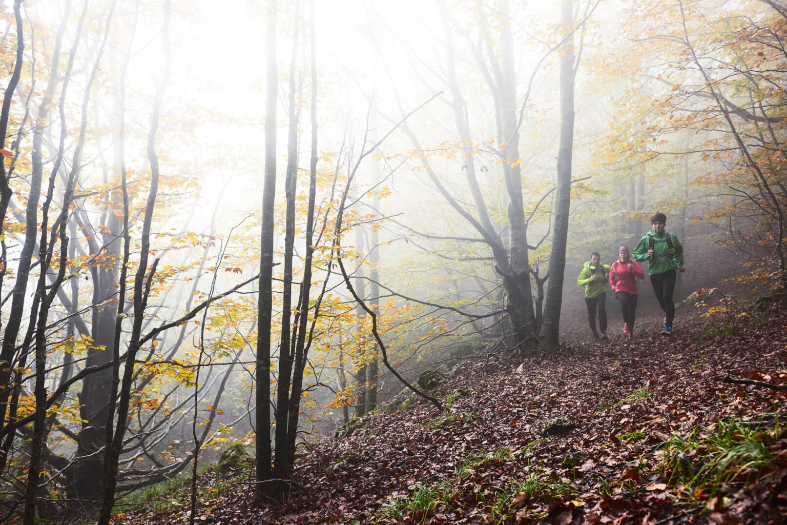 Fotografia di gruppo di ragazzi che praticano trailrunning nel bosco. Scatto realizzato per Polygiene dal fotografo sportivo duzimage di David Umberto Zappa, fotografo La Spezia