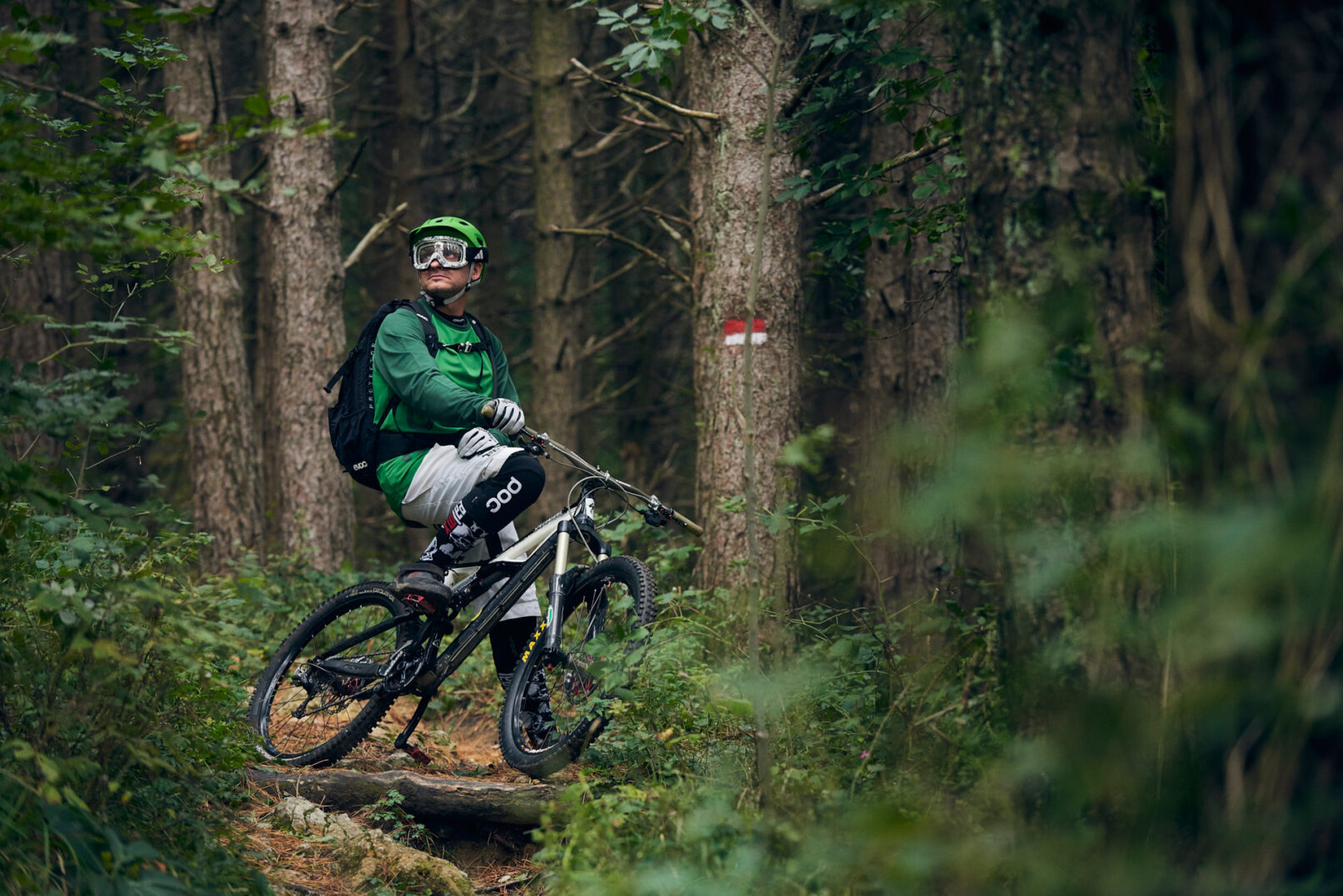 Immagine di biker bicicletta nel bosco mentre si guarda attorno vestito con attrezzatura POC. Immagine sportiva creata per Polygiene dal fotografo duzimage - David Umberto Zappa in provincia di La Spezia